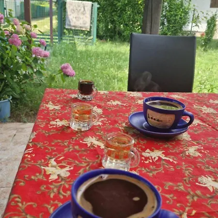 Kuca Garic Veliko Gradište