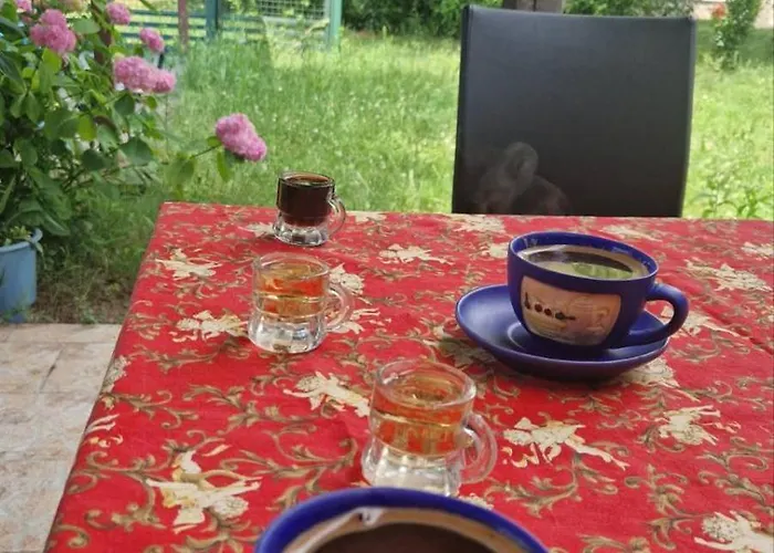 Kuca Garic Veliko Gradište