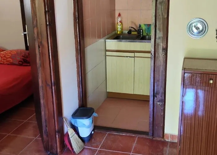 Kuca Garic * Veliko Gradište