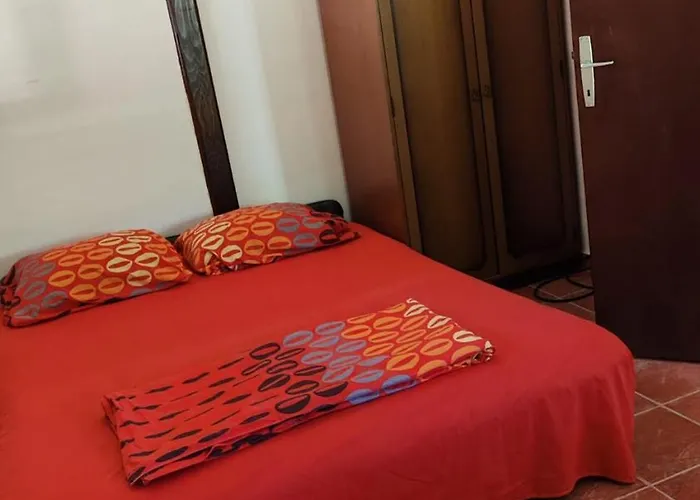 Kuca Garic * Veliko Gradište